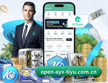 爱游戏体育入口 APP 深度功能