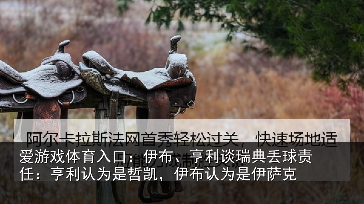爱游戏体育入口：伊布、亨利谈瑞典丢球责任：亨利认为是哲凯，伊布认为是伊萨克