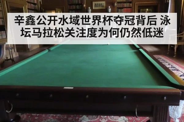 辛鑫公开水域世界杯夺冠背后 泳坛马拉松关注度为何仍然低迷