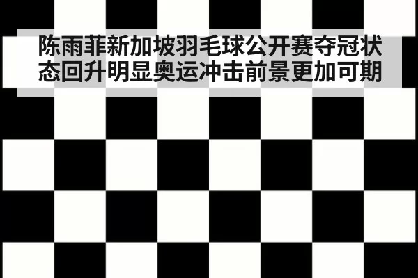 陈雨菲新加坡羽毛球公开赛夺冠状态回升明显奥运冲击前景更加可期